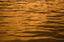Water Gold Abstract Background
