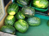 Water Melons In A Fruit Store