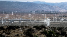 Wind Power In Palm Desert