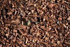 Wood Chips Background