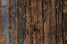 Wood Siding In Disrepair