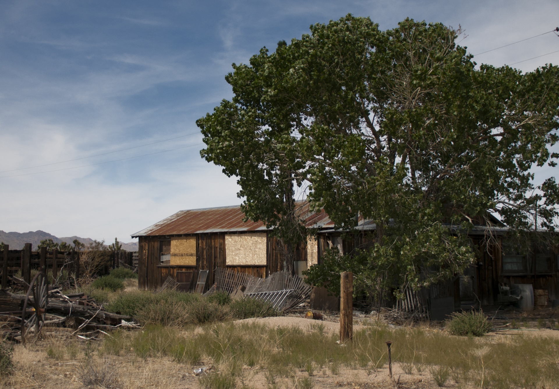 shack in the deseret next to a shady tree