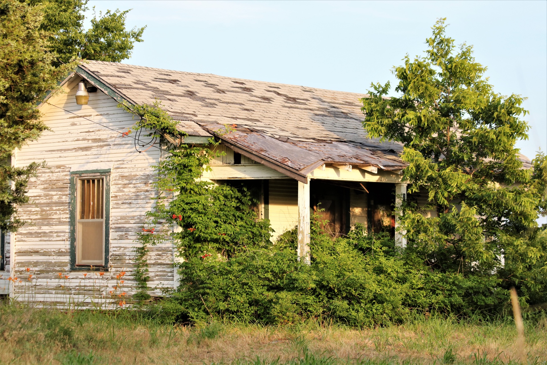 An old wooden frame house, with white peeling paint, is overgrown with trees and vines as it sits abandoned in the Oklahoma countryside.