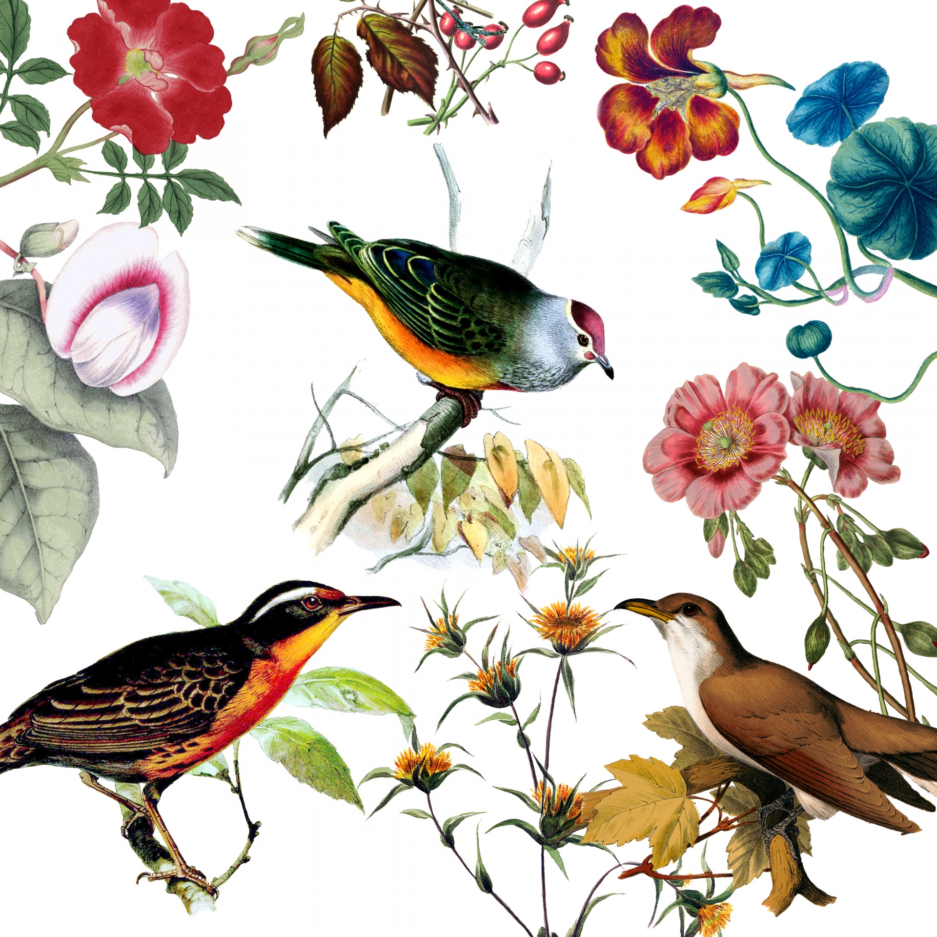 Birds Vintage Flowers Background