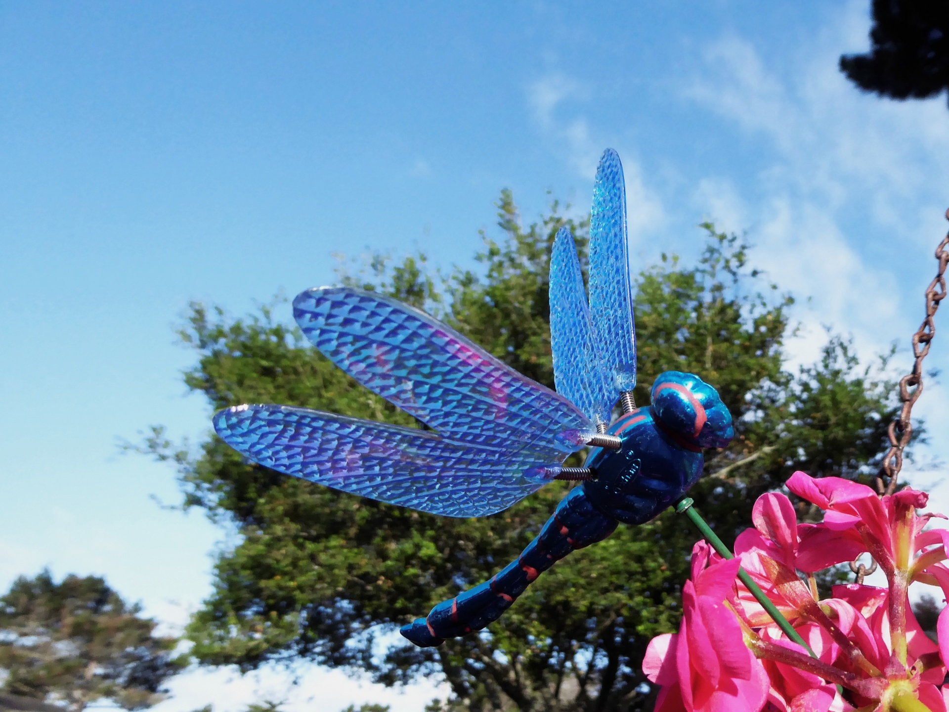 Blue dragonfly decoration in a flower pot
