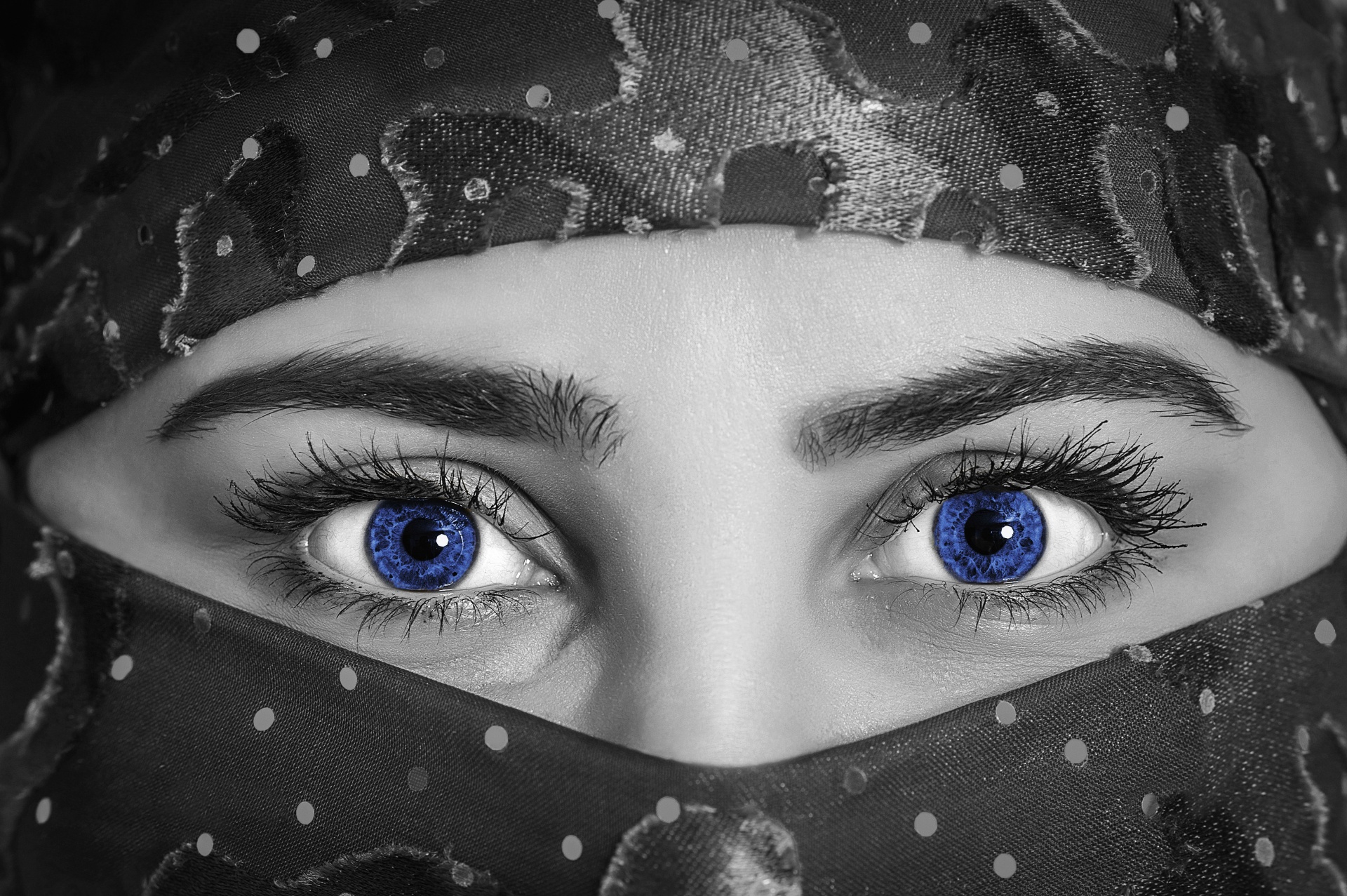 Blue Eyes Of Woman