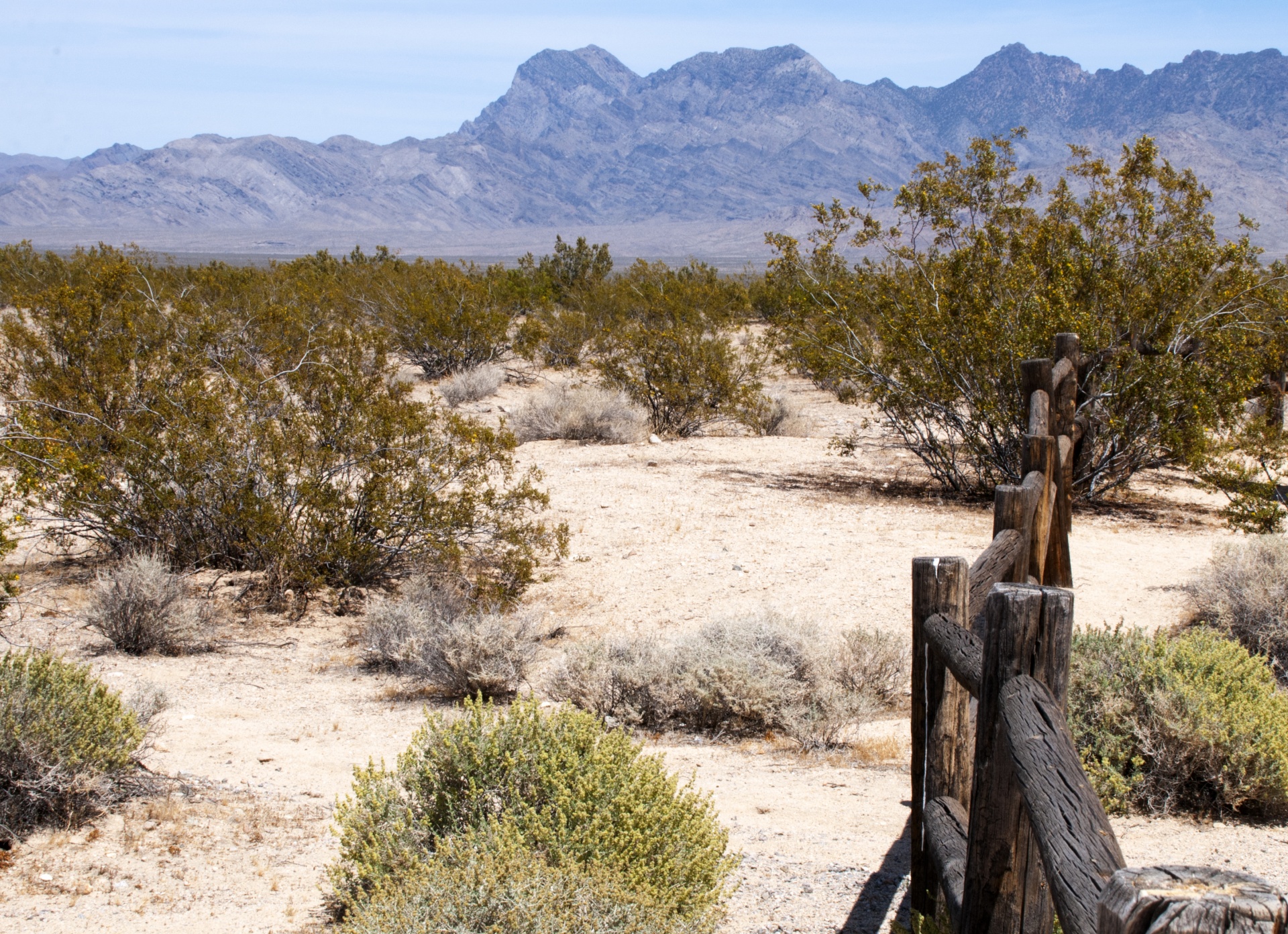 desert landscape with watercolor border