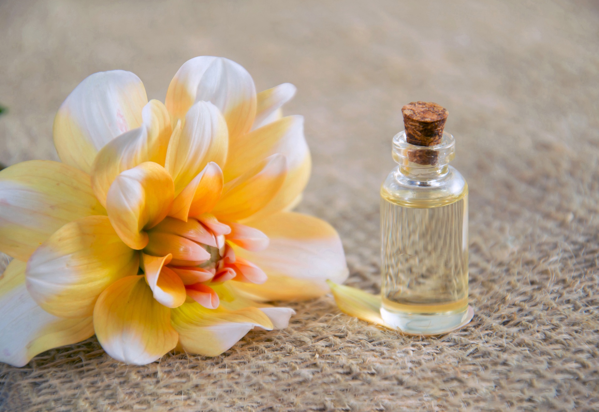 Cosmetic oil with a beautiful flower