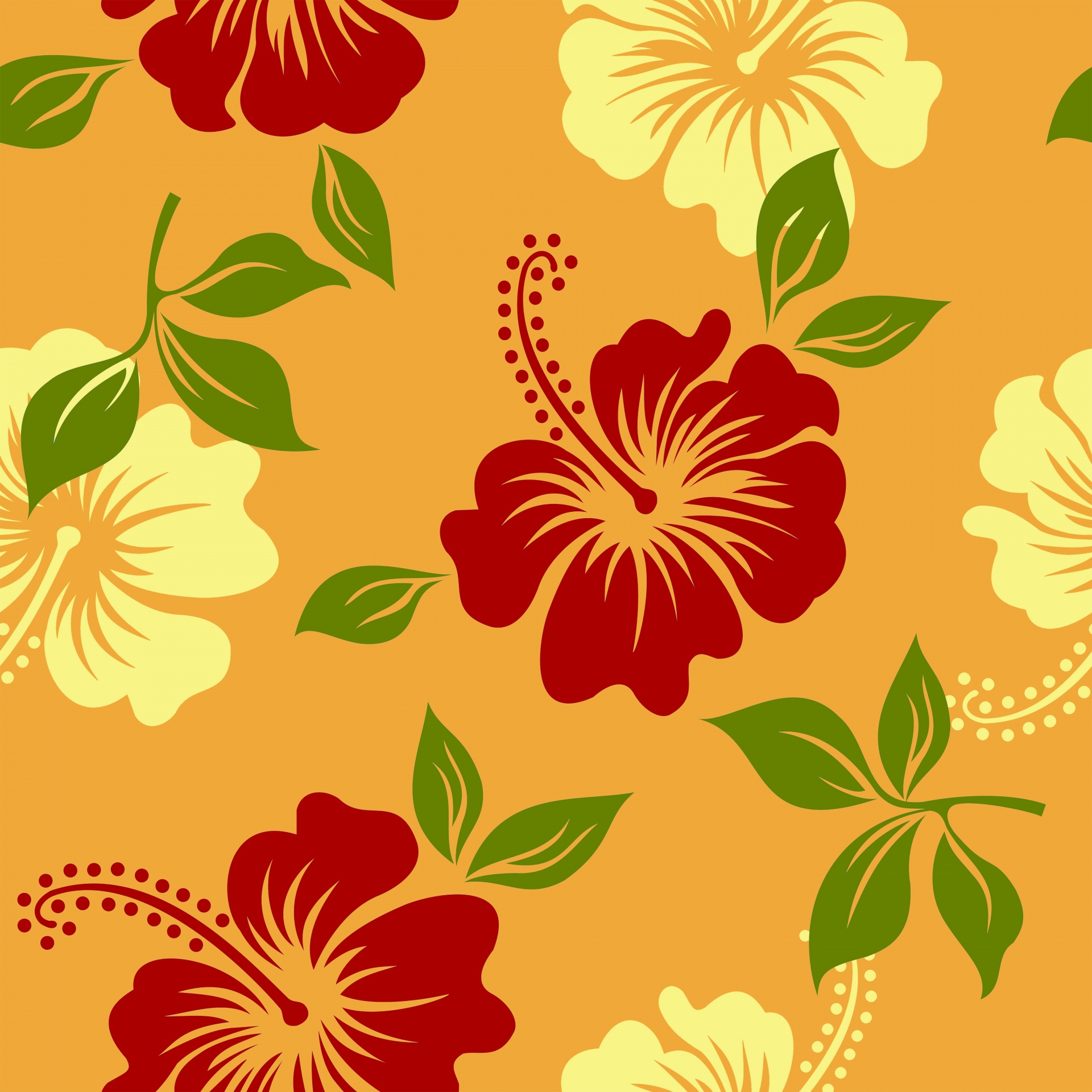 Floral Background Hibiscus Flowers