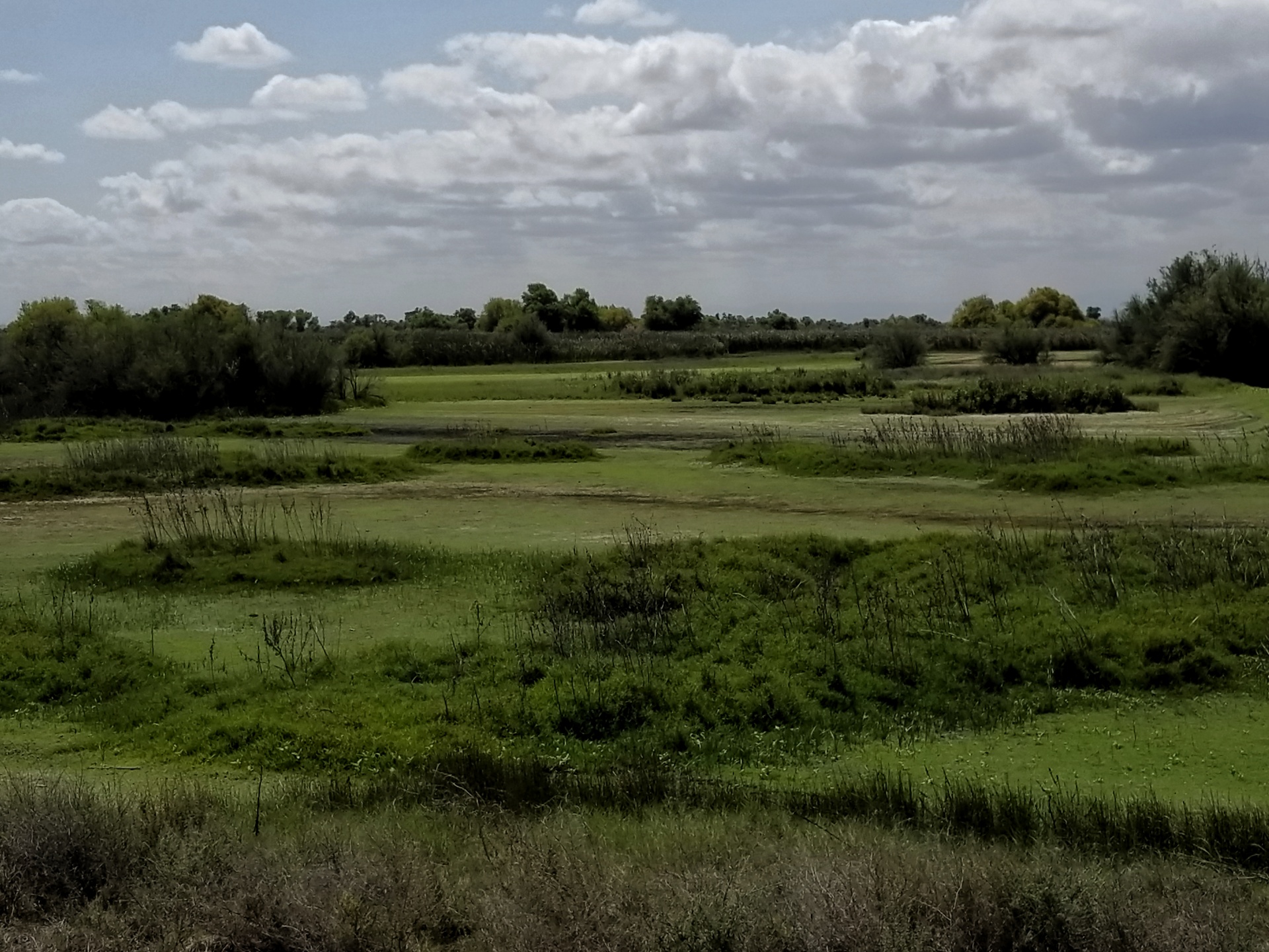 Greenbelt Landscape