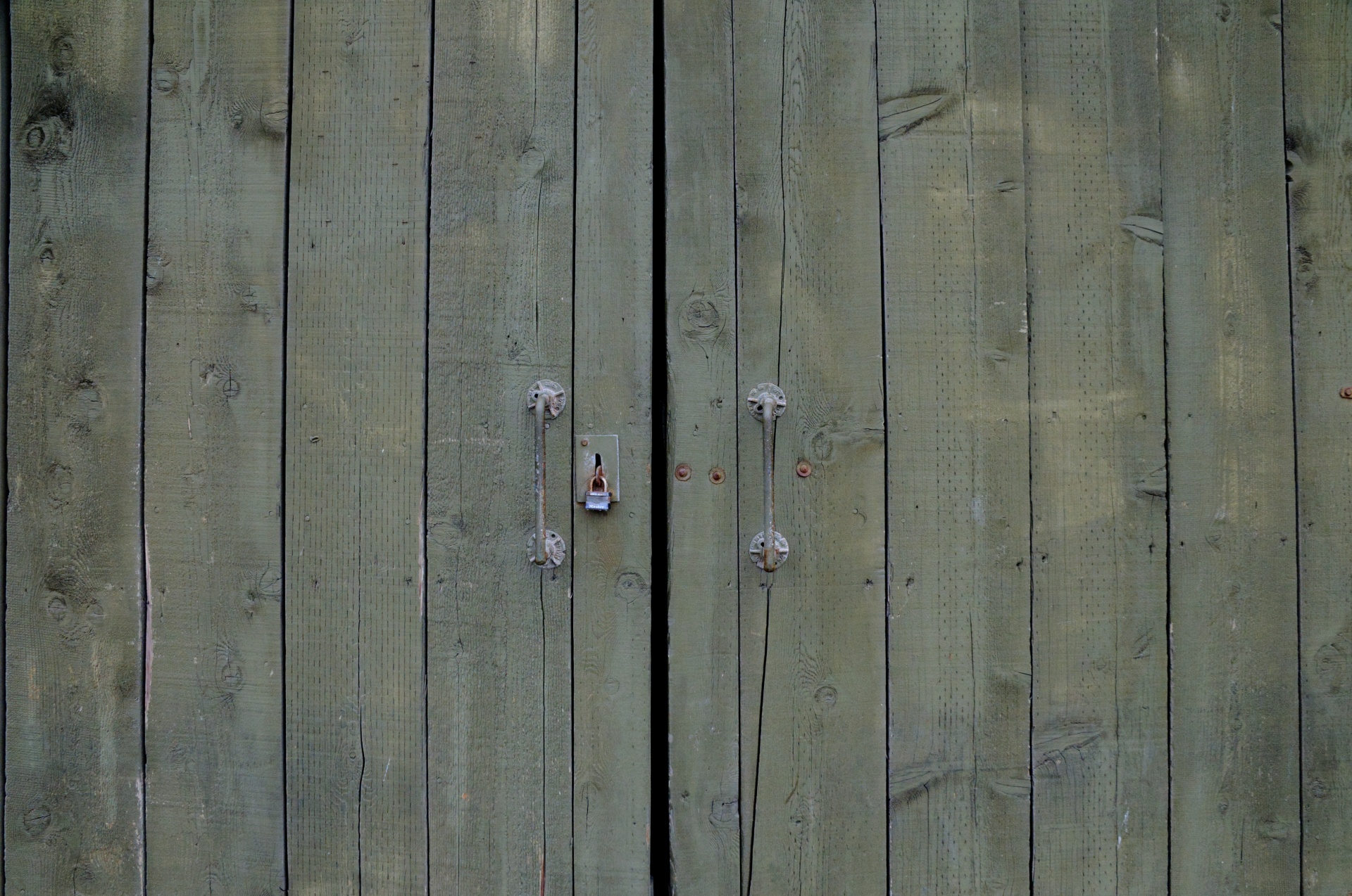 Grunge Wood Panel Doors Background