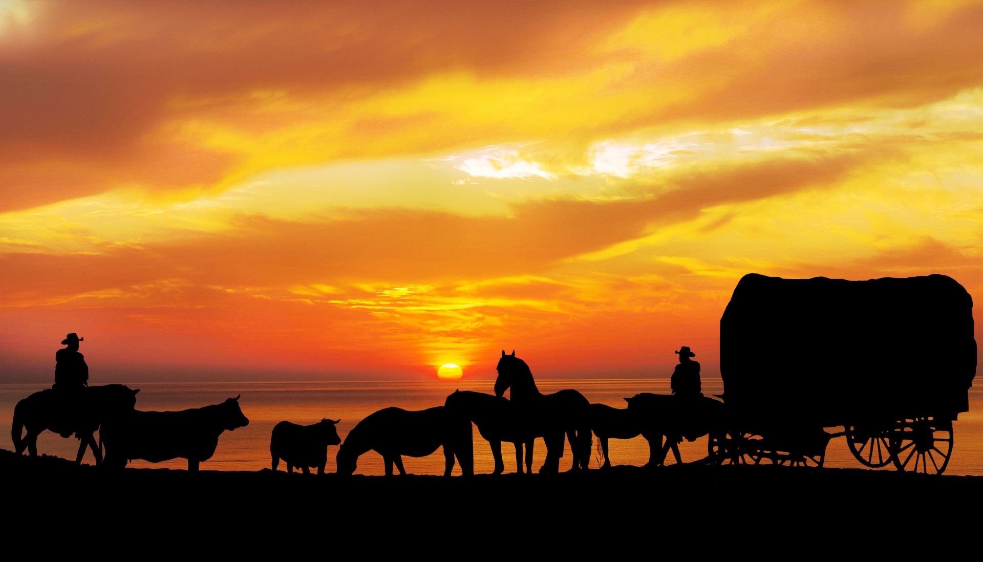 Horses, Cattle Sunset Silhouette