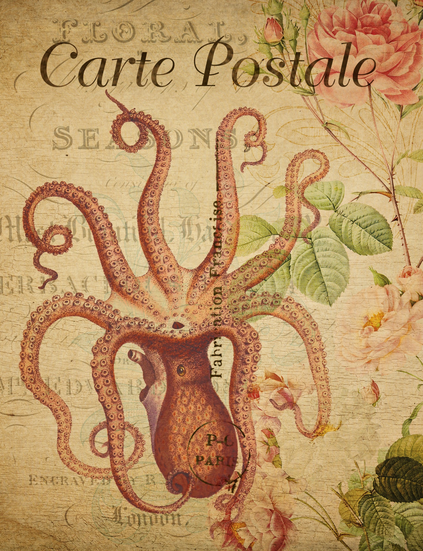 Octopus, Squid Vintage Postcard