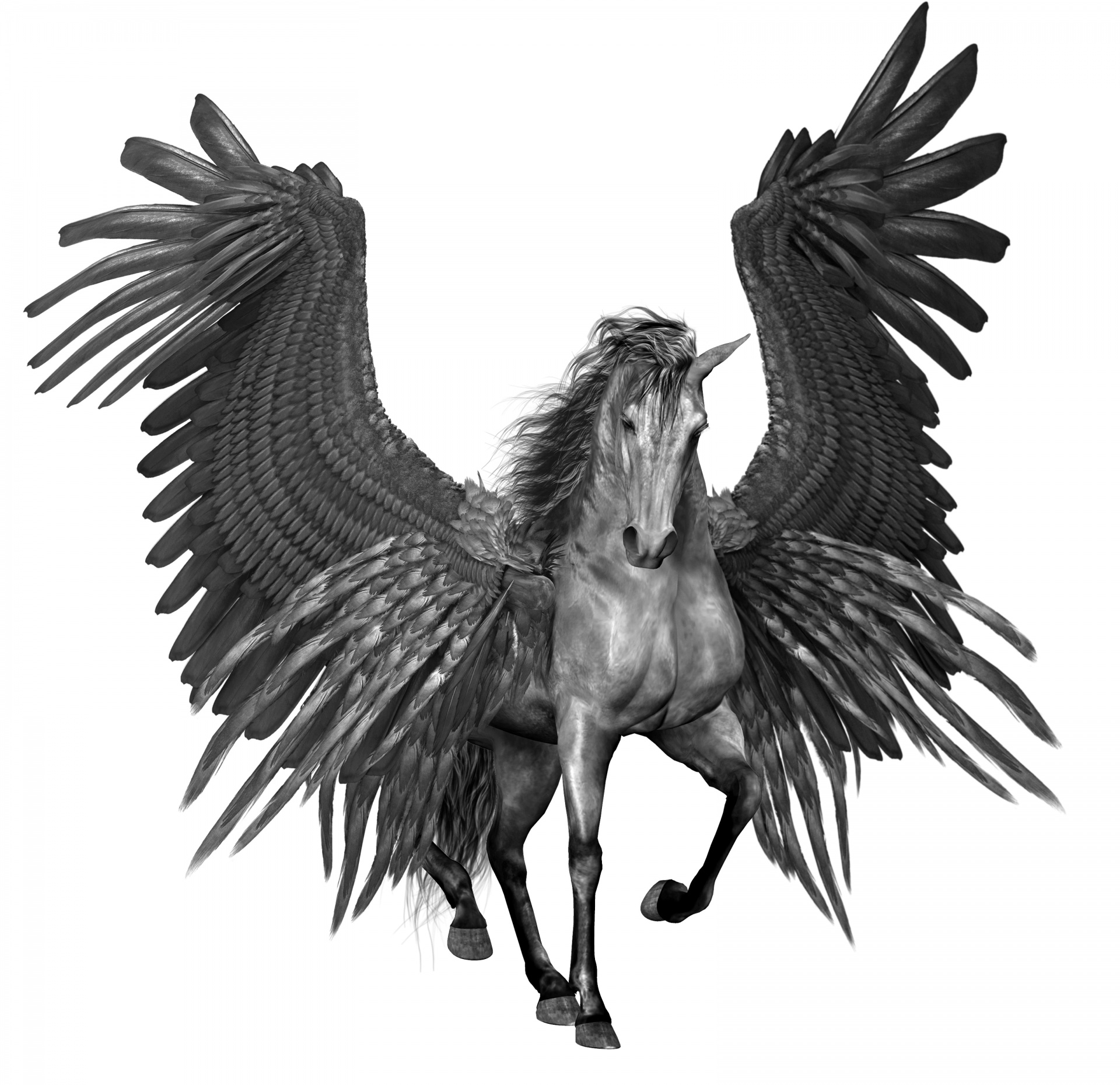 Pegasus Winged Horse Clipart