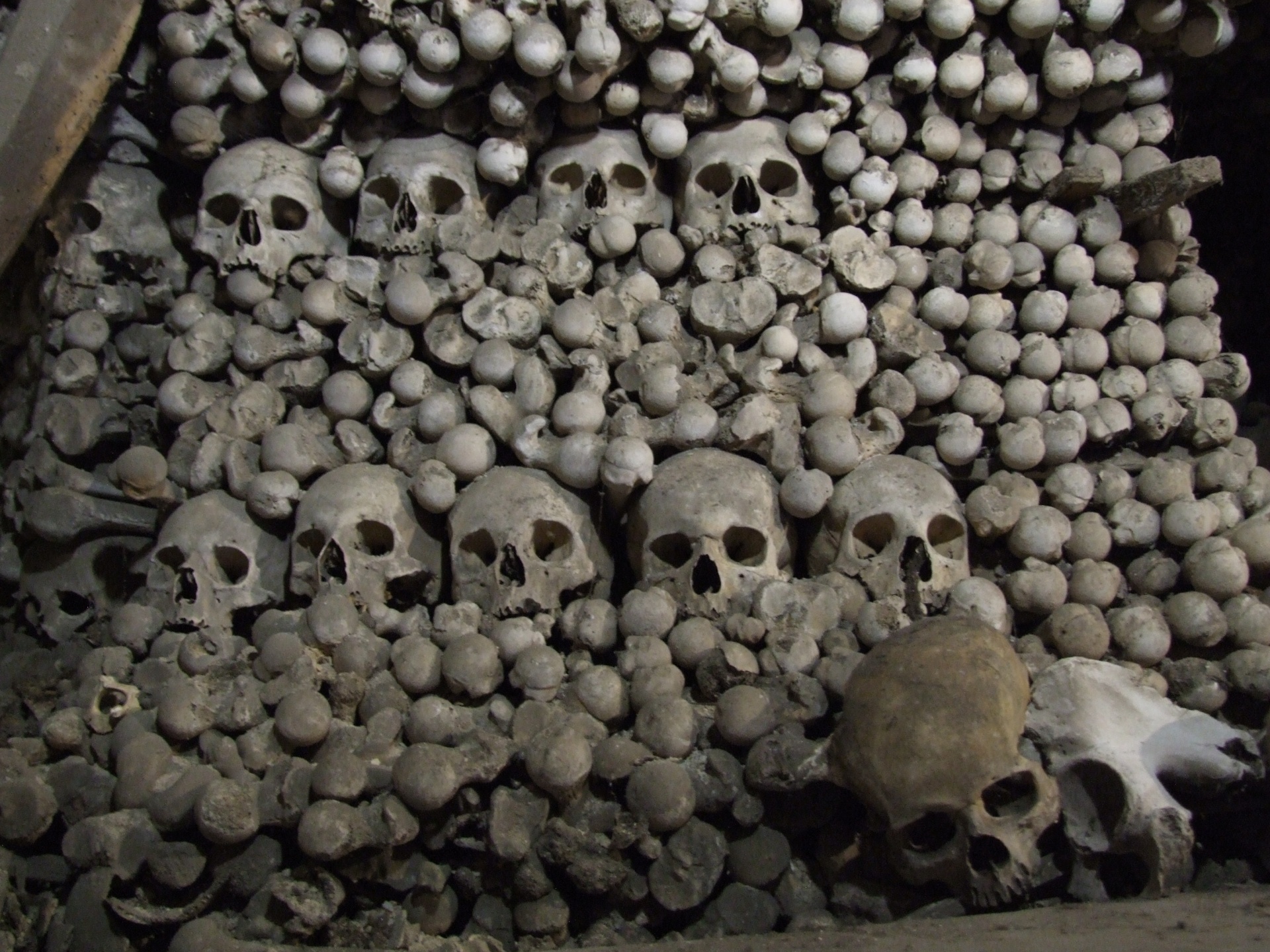 Pile Of Human Bones