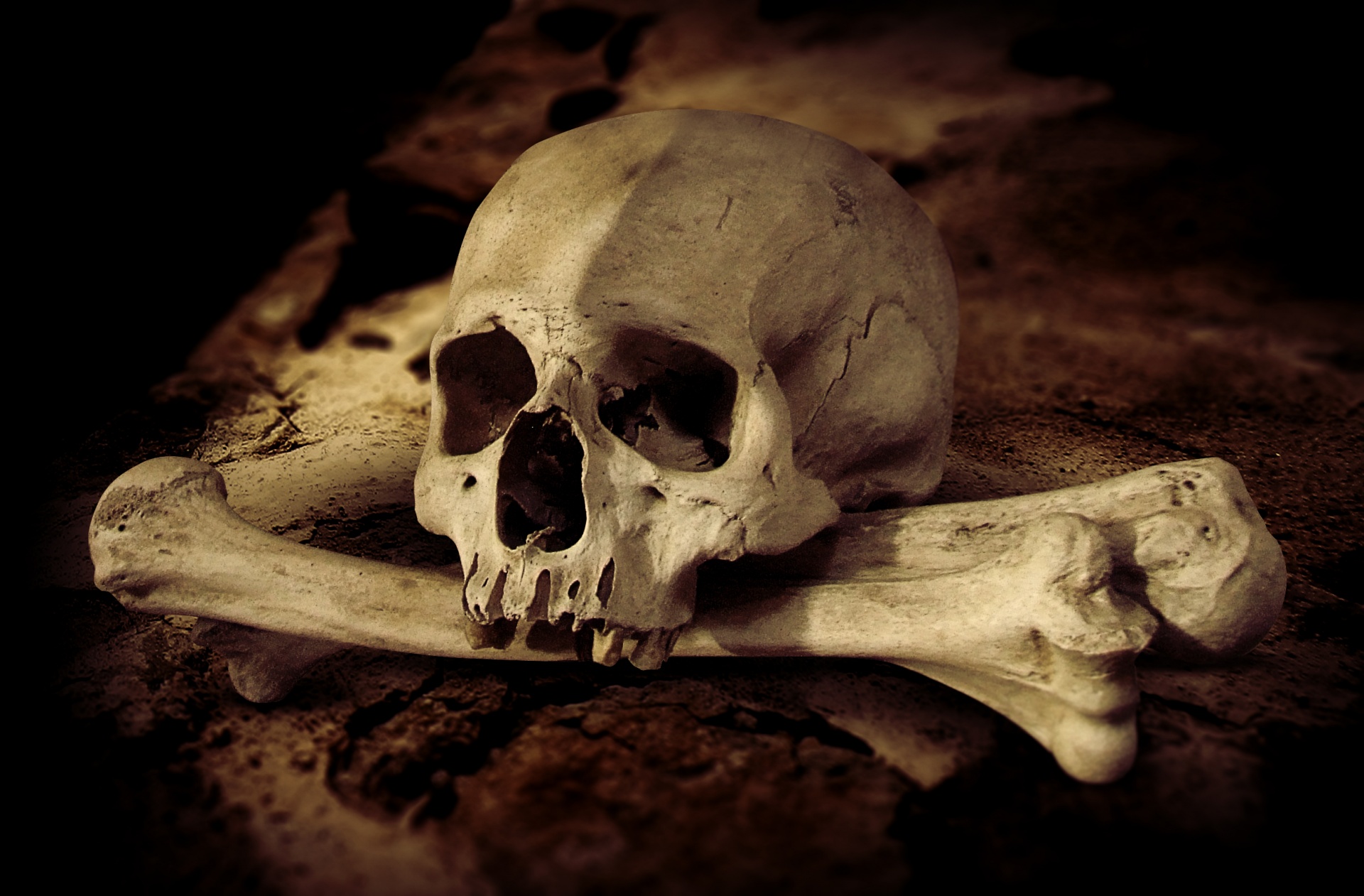 Real human skull and crossbones on a stone background, halloween horror scene