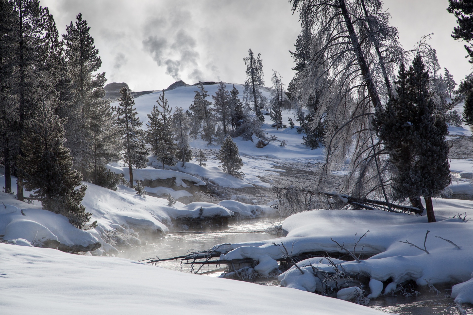 Landscape Scene of Yellowstone in Winter