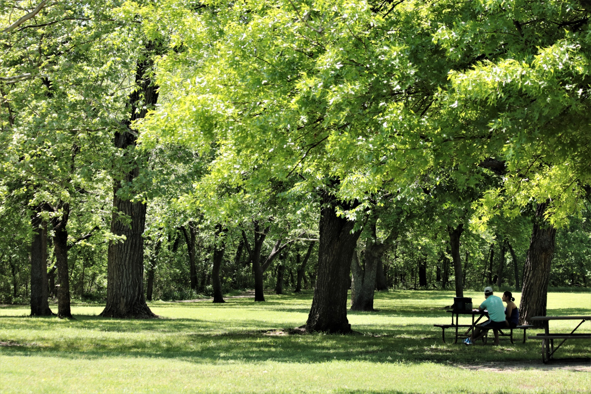 A young couple are sitting at a picnic table, under green trees, enjoying a beautiful green park on a spring afternoon.
