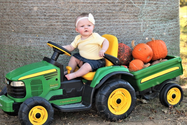 Bebé en tractor con calabazas Stock de Foto gratis - Public Domain Pictures