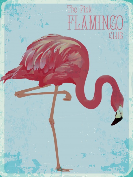 Flamingo Bird Vintage Póster Stock de Foto gratis - Public Domain Pictures
