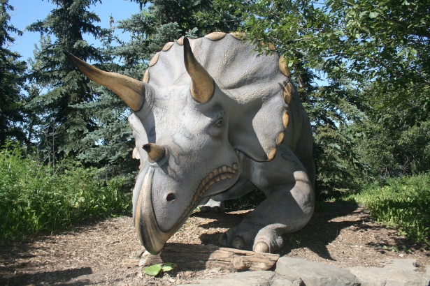 triceratops in real life