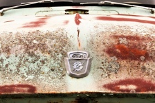 1956 Ford Truck Hood And Badge