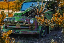 Abandoned Truck Now Planter