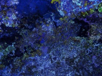 Abstract Background In Blue