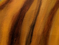 Abstract Oils Background