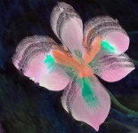 Abstract Watercolor Iris