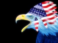 Eagle Usa