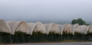 Agriculture Tents