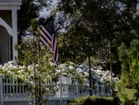 American Flag Neighborhood