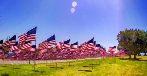 American Flags In Memory Of 9-11