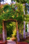 Arbor Garden Entrance