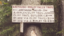 Arethusa Ripley Falls