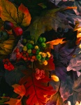 Autumn Leaves And Berries