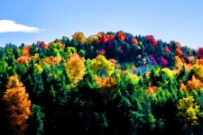 Autumn Mountain