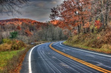 Autumn Road Bend