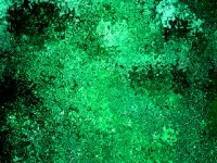 Background Chaos In Green