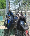 Bags Of Baseball Gear
