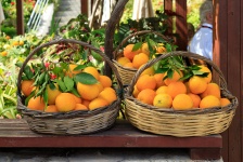 Beautiful Oranges