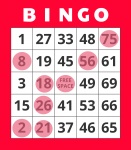 Bingo Winning Card