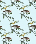 Bird Finch Vintage Wallpaper