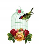 Bird Roses Cage Vintage