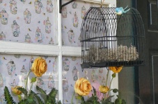 Birdcage And Flowerbox