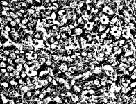 Black And White Floral Background