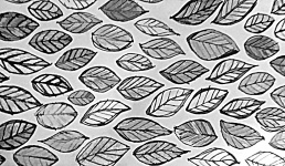 Black And White Leaves