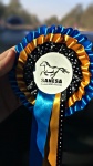 Blue And Gold Rosette