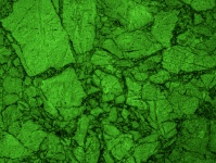 Bright Green Marble Background